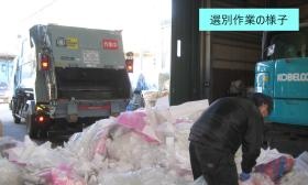 選別作業の様子（上佐々木工場）