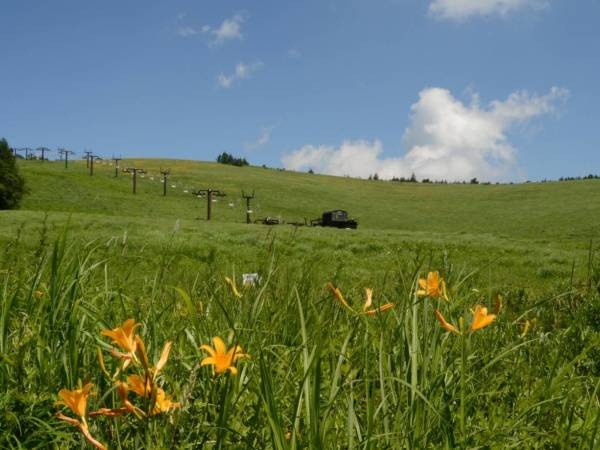避暑地　車山高原で涼しい夏を過ごそう！