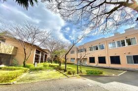 自然あふれる中庭