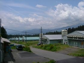 富士宮種鶏場 場内写真
