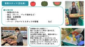 青果スタッフ（正社員）