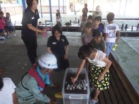 小学生を対象とした海洋工事の現場見学会