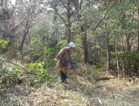 山の足場づくり（草刈）