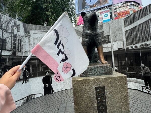 新宿・渋谷地域の観光案内