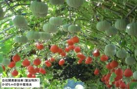 事業所の情報＿００１