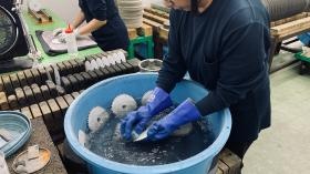 出荷部門（洗浄の様子）