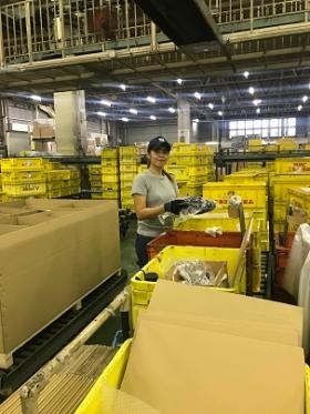 仕分け・梱包作業中
