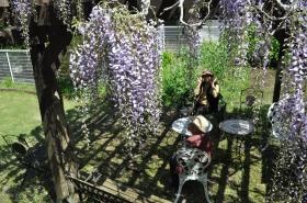 グループホームすかい 庭