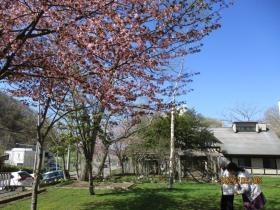 通所介護の介護職員