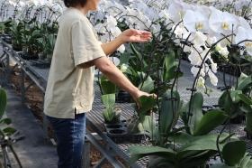 作業風景 その２