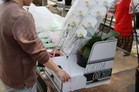 作業風景 その１