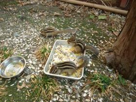 事業所の情報＿００６