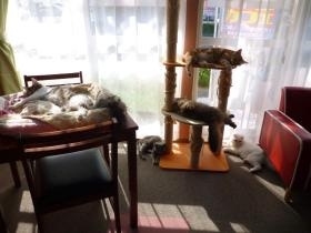 事業所の情報＿００７