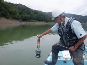 調査