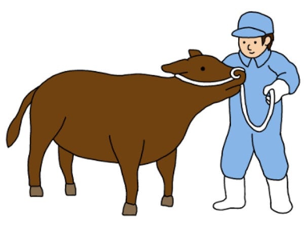 軽作業スタッフ・駅チカ高収入の食肉市場軽作業スタッフ（週払いOK・身体を動かすのが好きな方歓迎）