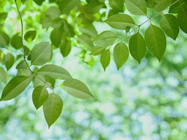 カスタマーサポート・営業事務（求めるご経験とスキル・チャットツールなど基本的なPCスキル）