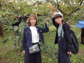 バス日帰り旅行 柿狩り
