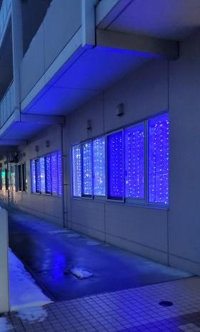 みどりの大地「ブルーライトアップ」
