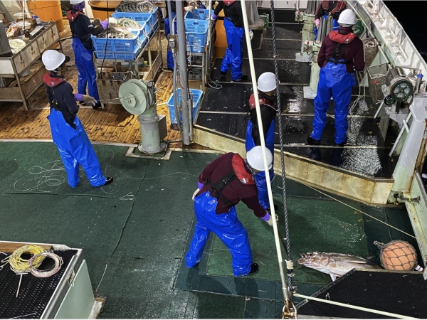 当社では機械化が進んでおり、体力を要する作業は年々減ってきており、慣れてくれば工場のライン作業のような感覚で働けるようになります。