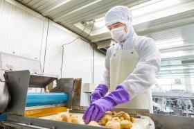 工場仕事風景：選別作業