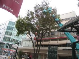 維持管理現場２