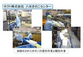 袋詰め後の選別、梱包作業