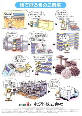 絵で見るきのこ栽培