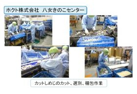 しめじのカット、選別、梱包作業