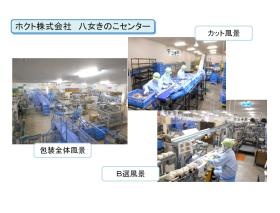 包装・カット・Ｂ選工程の様子