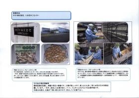 出荷前の製品と選別作業