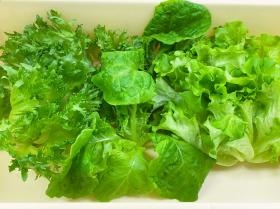 当工場で栽培している野菜