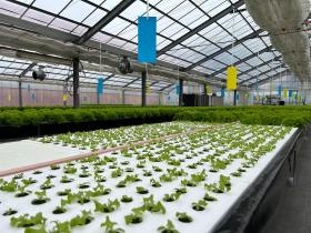 ふくろうファーム鯉淵学園 ビニールハウス内１