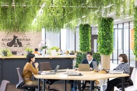 本社 オフィス自然を多く取り入れたバイオフィリックデザイン