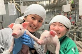 養豚管理業務（イメージ）