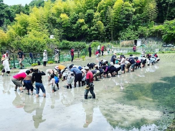 自治的なコミュニティ運営が得意分野です。現場に立ち、現場の声に耳を傾け、すべての人や組織、地域の心地よい「つながり」のカタチをつむぎます。