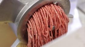 ペットフードには新鮮な生肉・生魚を使います