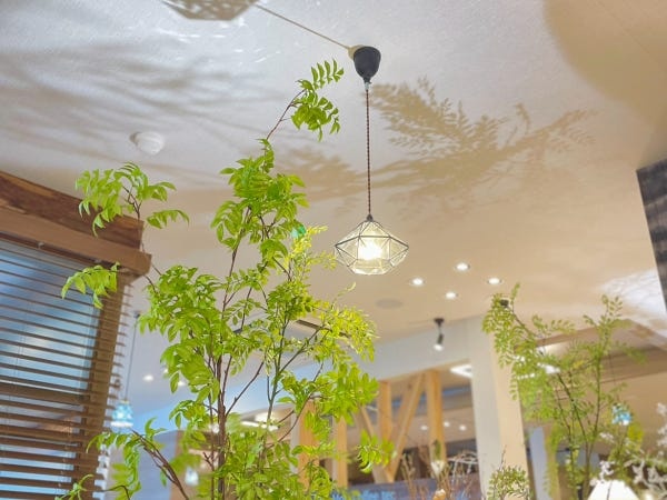 店内には花や緑があり、落ち着ける空間です。
