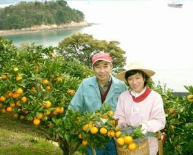 私たちは生産から販売までを一貫して行う６次産業農家です。