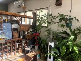 事務所玄関 緑に囲まれて