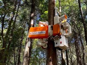 自社オリジナル林業ロボット「枝打ちロボット」