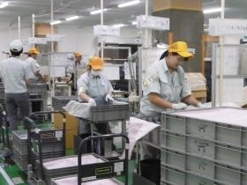 岩倉倉庫 詰替作業 職場風景