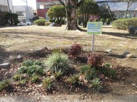やまなし土木施設環境ボランティア