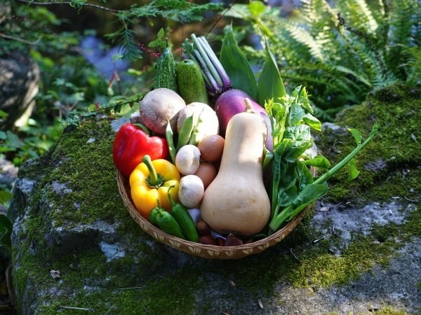 調理・の調理スタッフ（賄いあり・社宅あり）