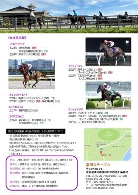 富田ステーブル パンフレット２