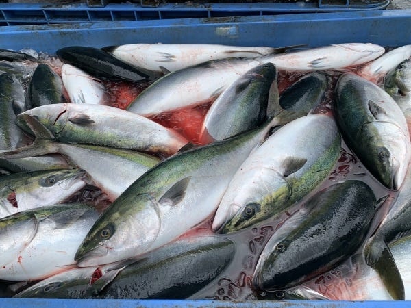 日々の取扱量がとても大きく、日本全国の食卓を支えていることを実感できるお仕事です。