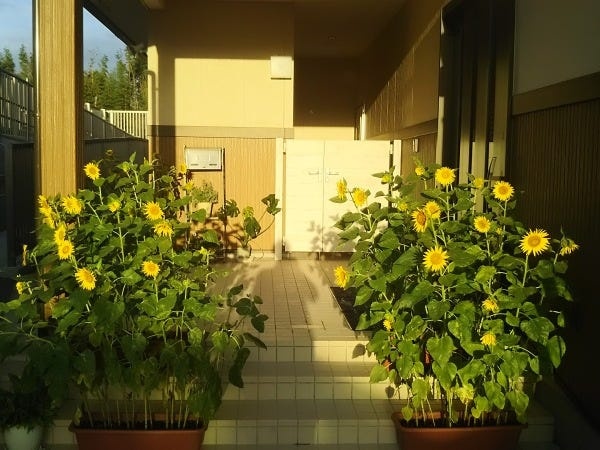 調理スタッフ・乳児院での館内調理スタッフ