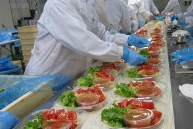 盛付（ライン作業）の様子