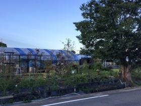 あんこガーデンファーム