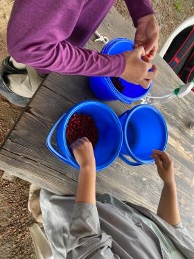 果実の収穫作業の支援