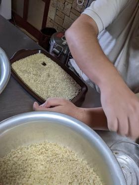 米の選別の見守り